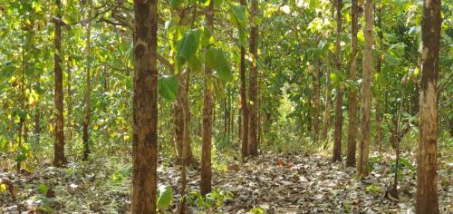 14f06bb0-7070-43c1-93ea-f1d674dd8c0b 1