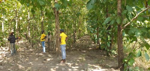 298134c7-681f-4b50-b0c6-5bd38a2ee5a9