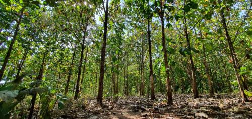 500534d1-cb29-42da-b7a7-1907ba502856