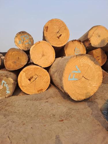 ca10ab25-370a-4a37-8aa5-65490c272e36